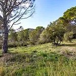 Port De La Selva 94 Con Amplio Jardín * Girona
