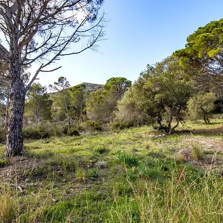 Port De La Selva 94 Con Amplio Jardin * Girona